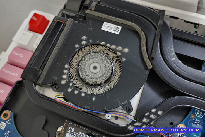 ASUS ROG Strix G713QM-HG119 냉각팬 먼지