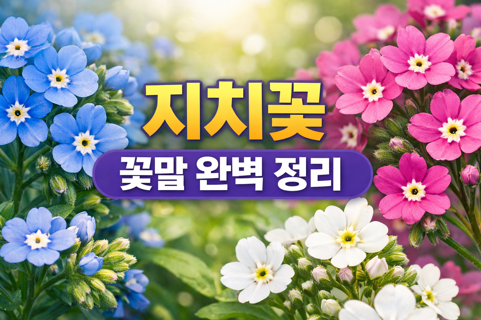 지치꽃 꽃말