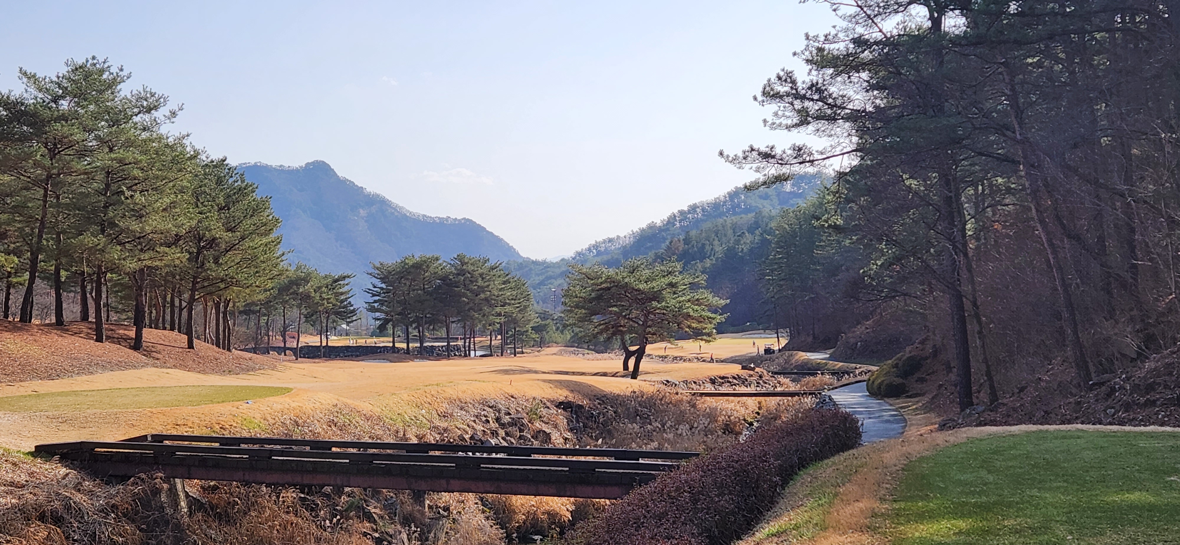 오크밸리cc
