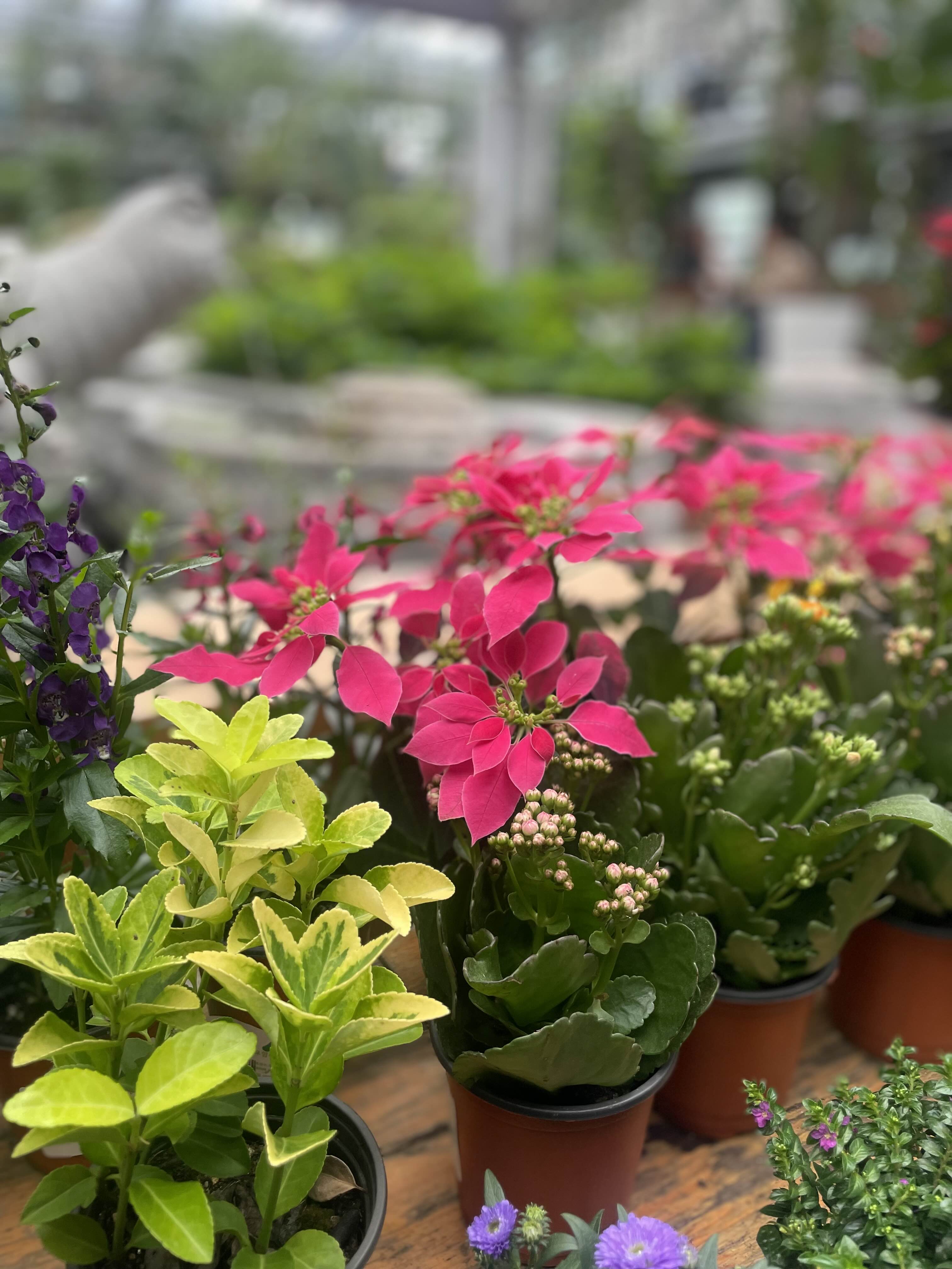 포항 산림조합 숲카페 방문 후기