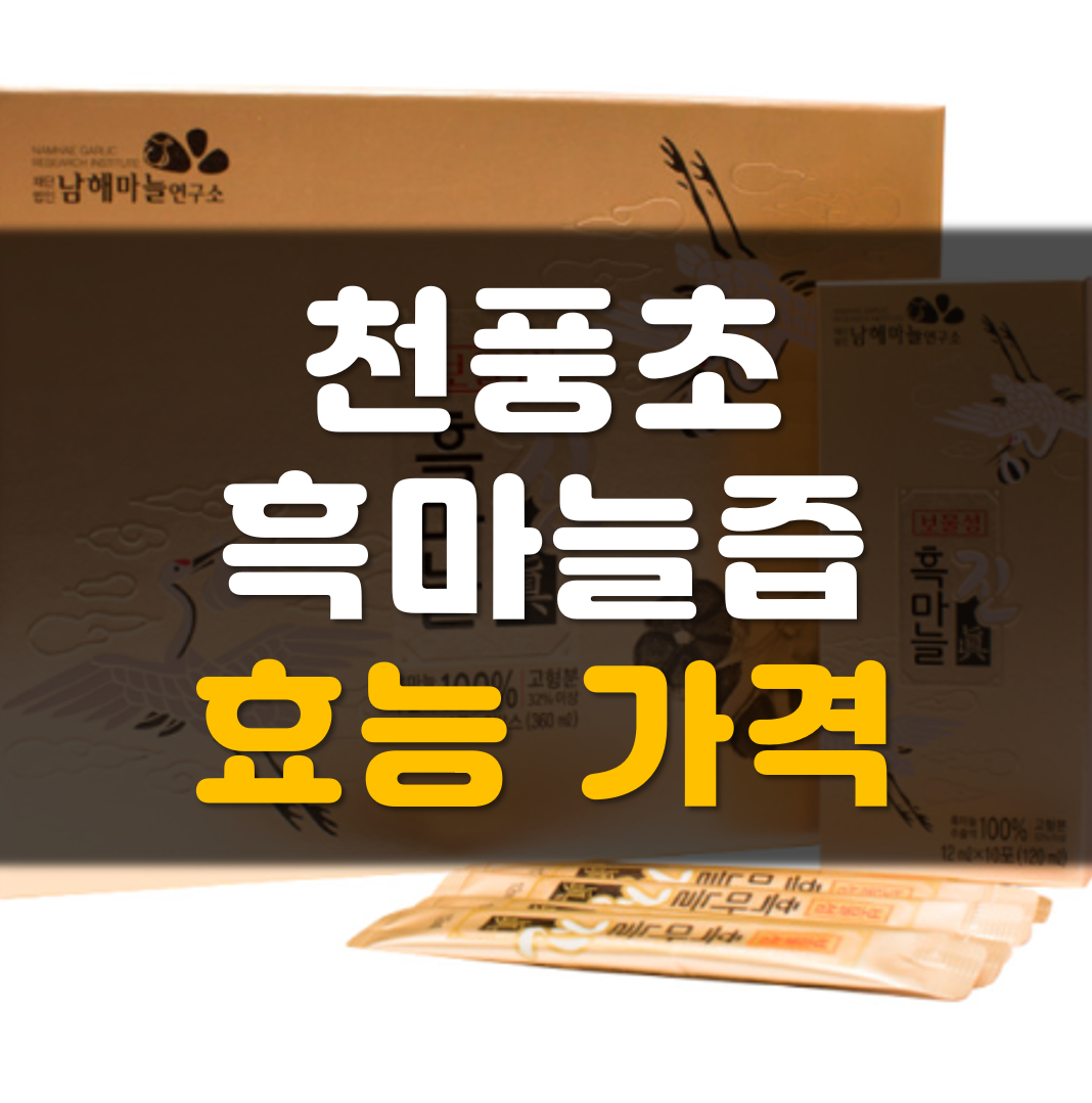 천풍초-흑마늘즙