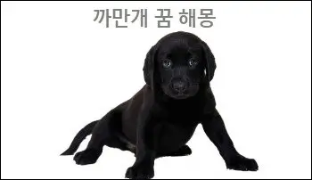 까만개 꿈 해몽