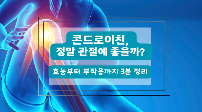 콘드로이친, 정말 관절에 좋을까?
