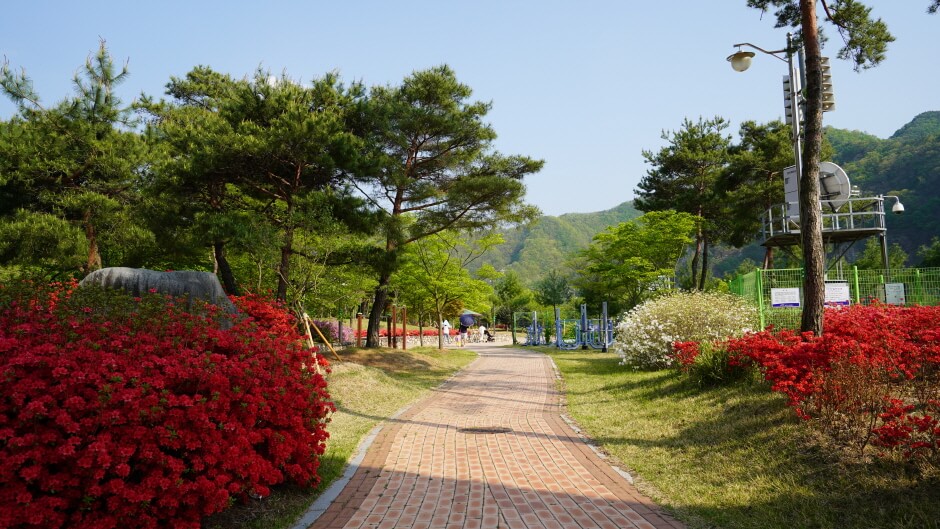 대구 가볼만한 단풍 여행은 어디일까? 대구 단풍 여행 총정리!