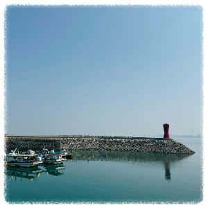 소난지도