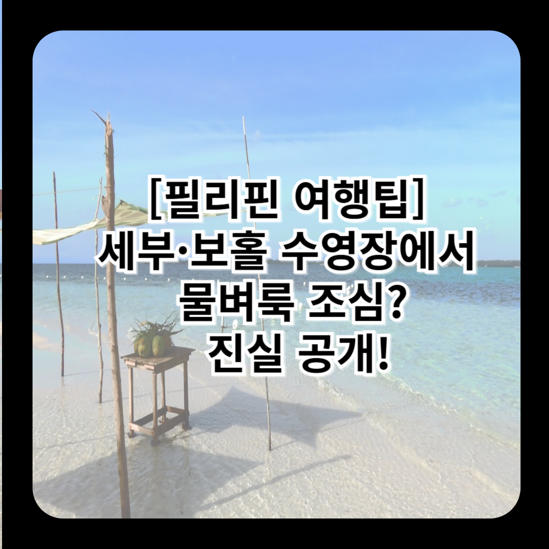 [필리핀 여행팁] 세부&middot;보홀 수영장에서 물벼룩 조심? 진실 공개!