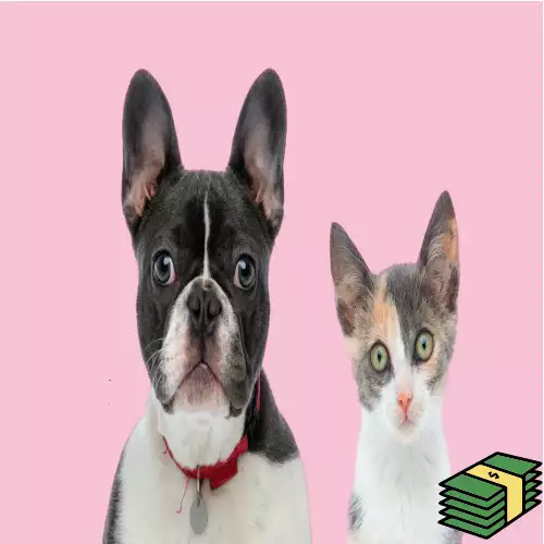 Pet