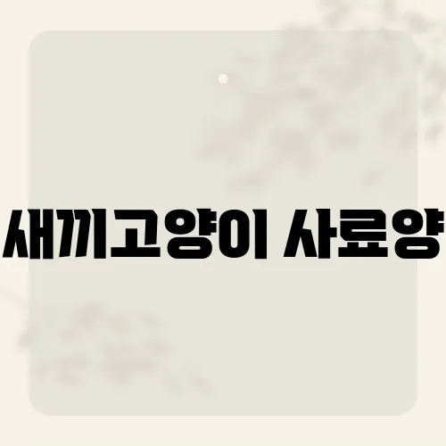 새끼고양이 사료양, 한 스푼 초과가 부작용 부른다?