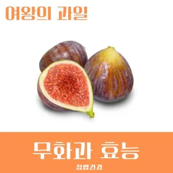 무화과 효능 칼로리 먹는 방법 수확시기 보관법_12
