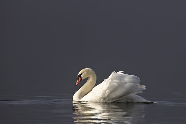 (도덕경) : 덜어냄의 철학