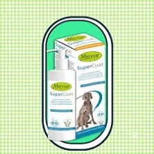 강아지 피부질환 완벽 가이드