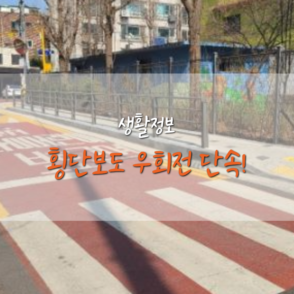 횡단보도 우회전, 횡단보도 우회전 단속, 횡단보도 우회전 신호, 우회전 신호, 과태료, 횡단보도 과태료, 횡단보도 단속