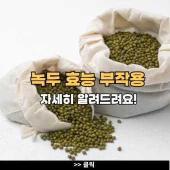 녹두 효능 부작용 녹두죽 끓이는법 칼로리 안내_16