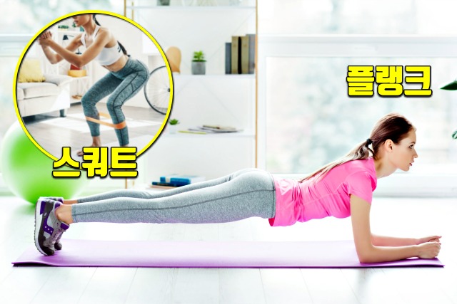 기초체력 운동, 요요없는 다이어트 방법, 생로병사의 비밀, 건강