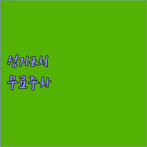 메디나 숙소 선택 가이드 성지 가까운..