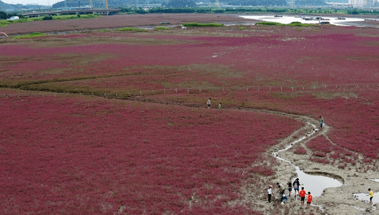소래습지-생태공원