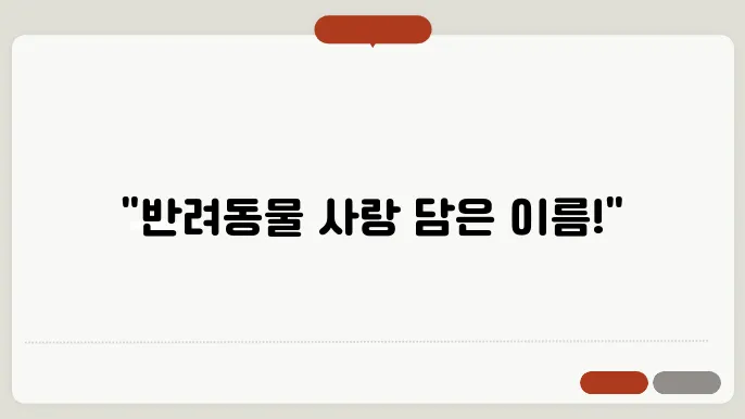 동물볐원이름, 작명 상호명 이름 짓기 추천 정보 총정리