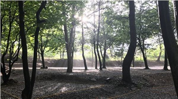 하늘빛계곡_캠핑장_사이트