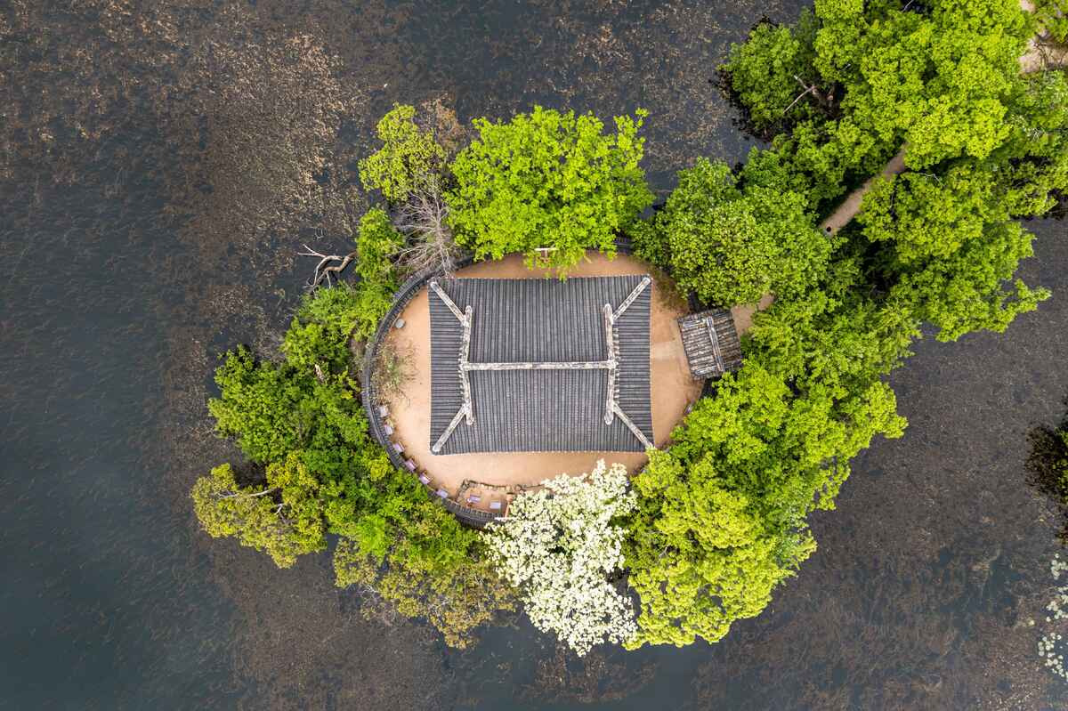 밀양 위양지 이팝나무 - 꽃길과 자연을 즐기는 완벽한 여행 코스