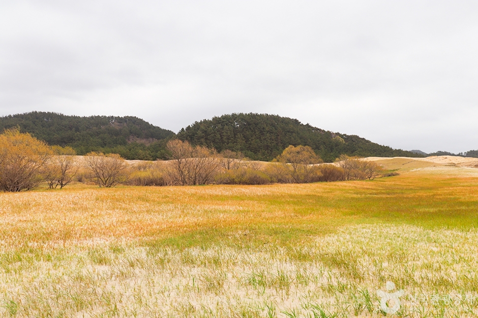 태안 가볼만한곳 베스트10