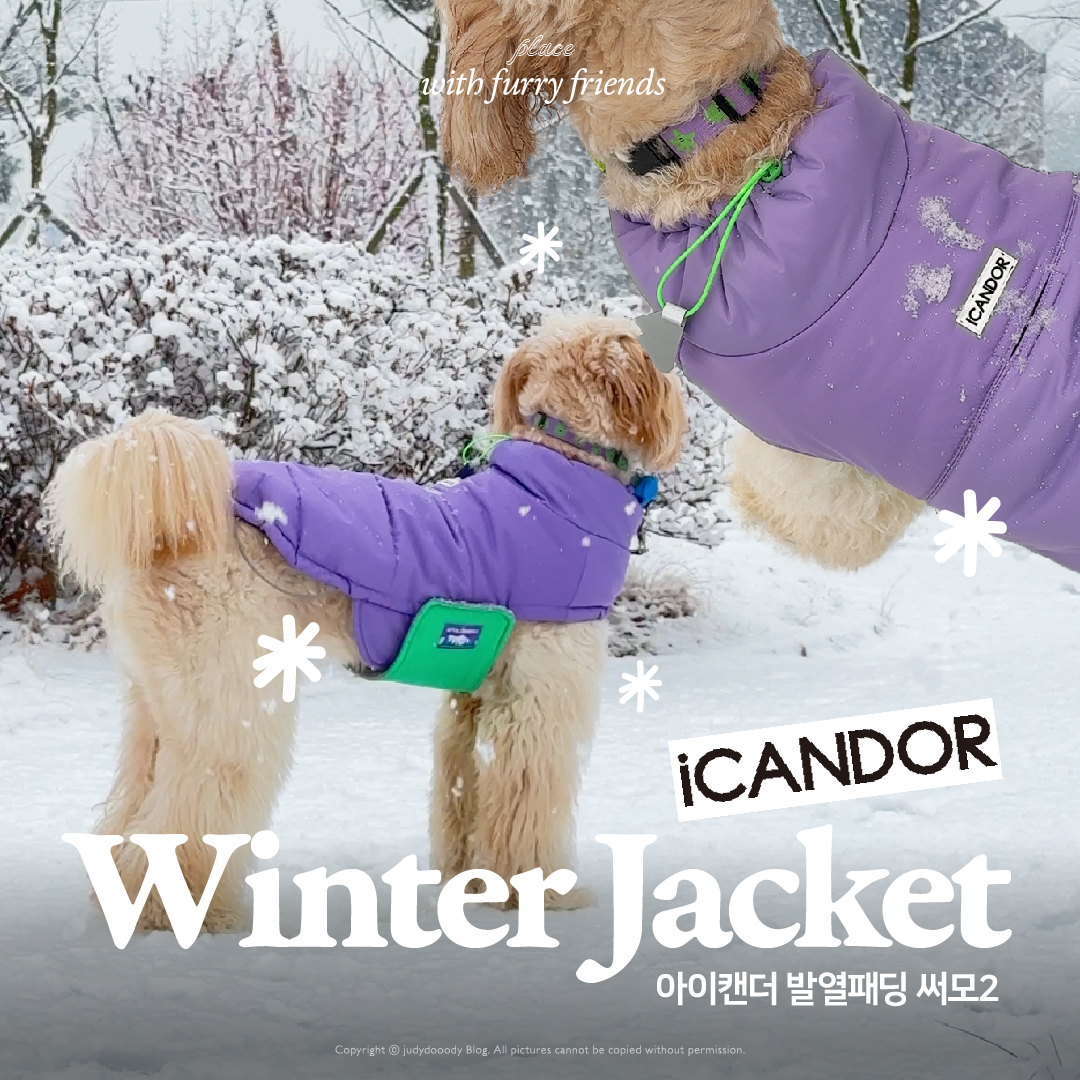 발열패딩 소개 썸네일