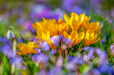 입춘대길 붙이는 시간 방법