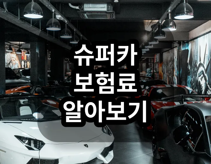 슈퍼카 보험료 조회