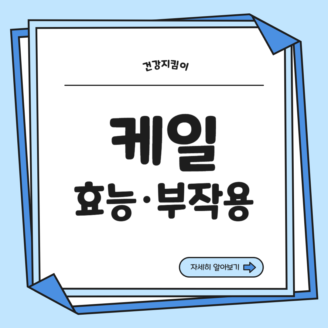 케일 효능과 부작용 고르는법 칼로리