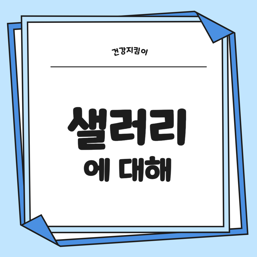 샐러리 효능 먹는법 부작용 고르는법 칼로리