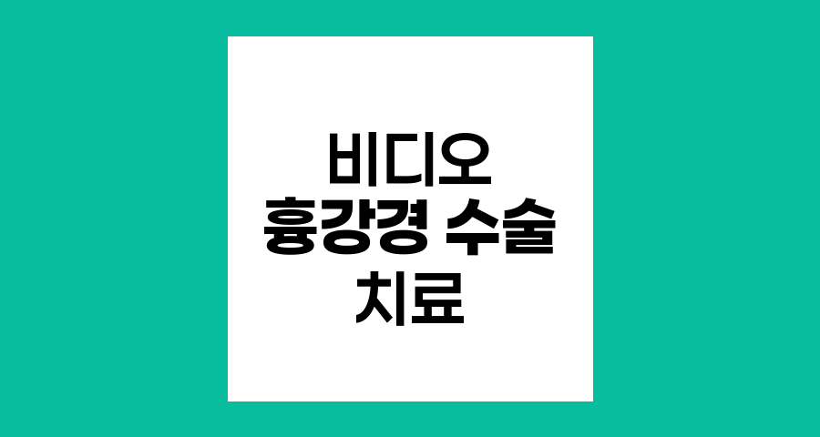 비디오 흉강경 수술로 치료 가능한 흉부 질환