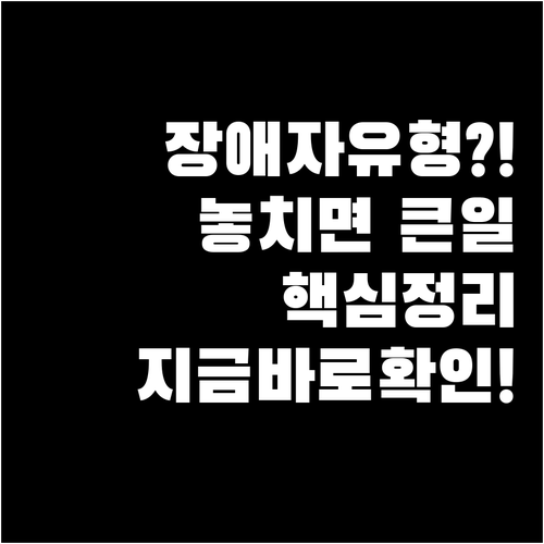 장애자 유형은 무슨 뜻인지 설명..