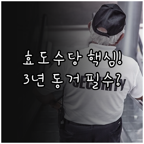 2025 아산 효도수당 3년 동거 필..