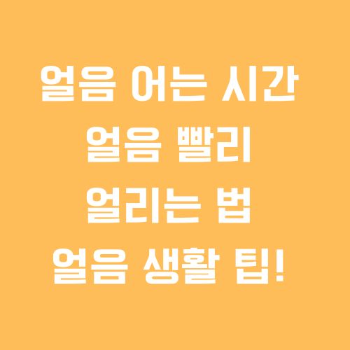 얼음 어는 시간 얼음 빨리 얼리는 법