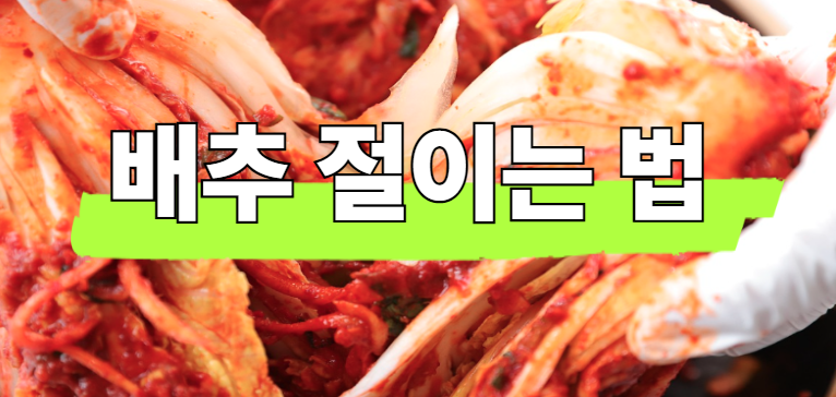 배추 절이는 법 핵심 요약본! 김장배추 뒤집기 및 절이는