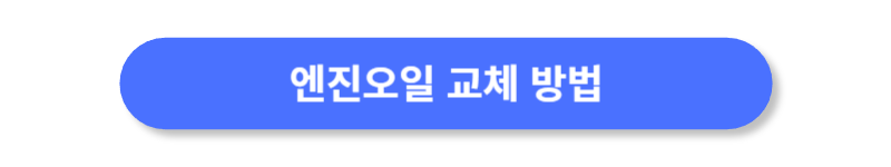 버튼