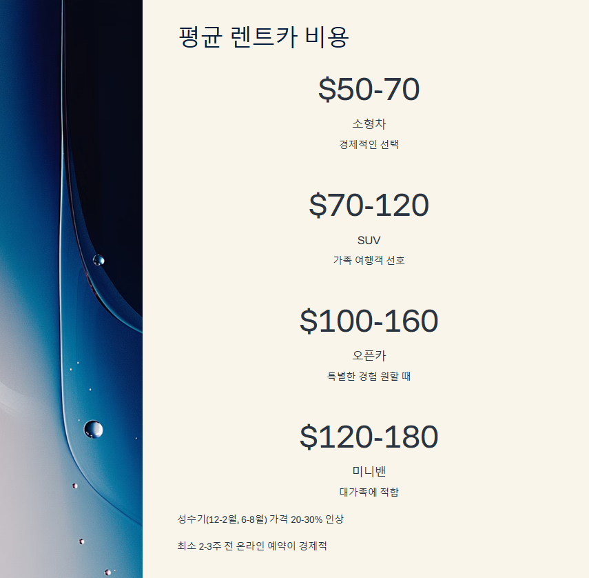 하와이 렌트카 비용 줄이는 법! 꿀팁 모음과 렌트 주의사항