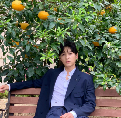 송중기