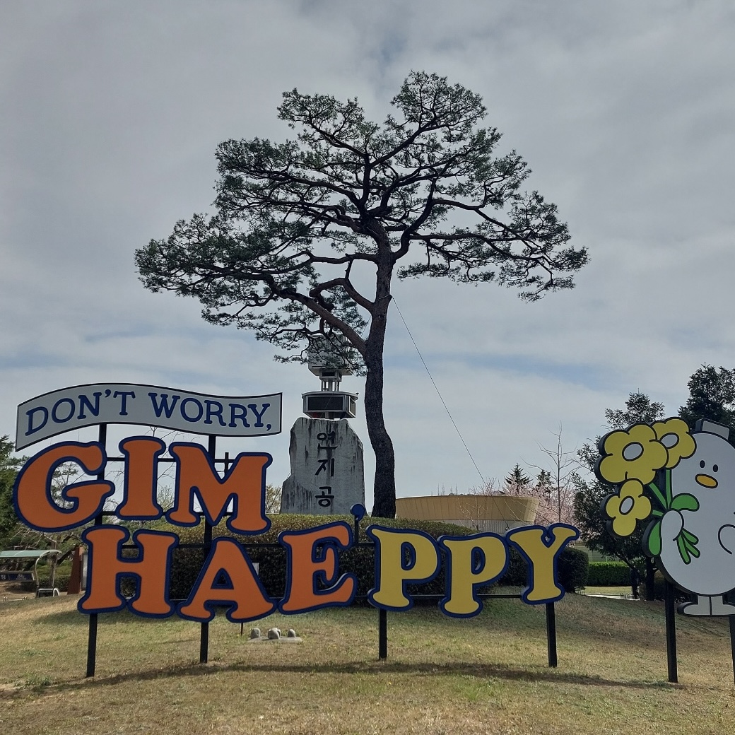 김해_연지공원_벚꽃_개화현황