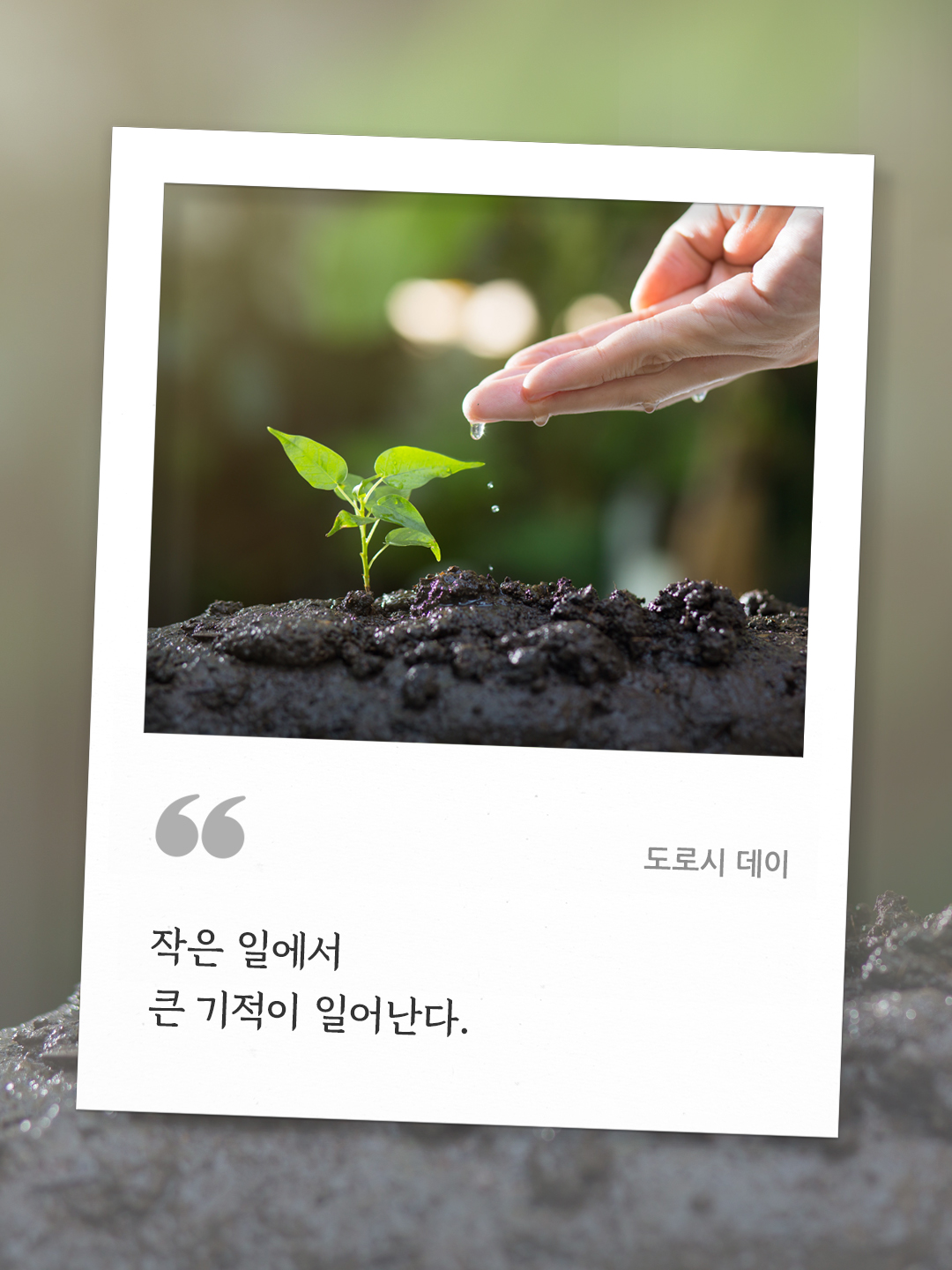 작은 일에서 큰 기적이 일어난다. (도로시 데이) by 피어나네 오늘의 명언 좋은 글귀 이미지 다운로드