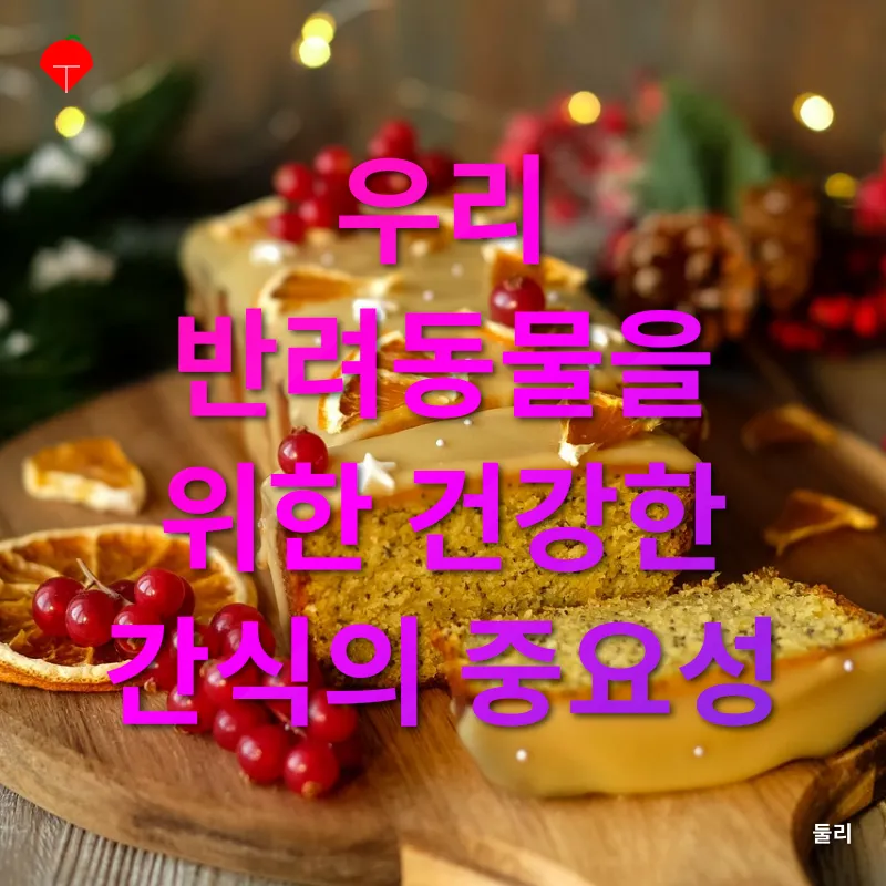 반려동물 수제간식 만들기_1