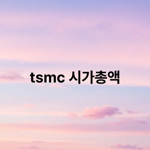 tsmc 시가총액