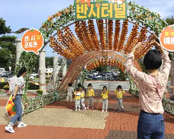 청도 반시축제_28