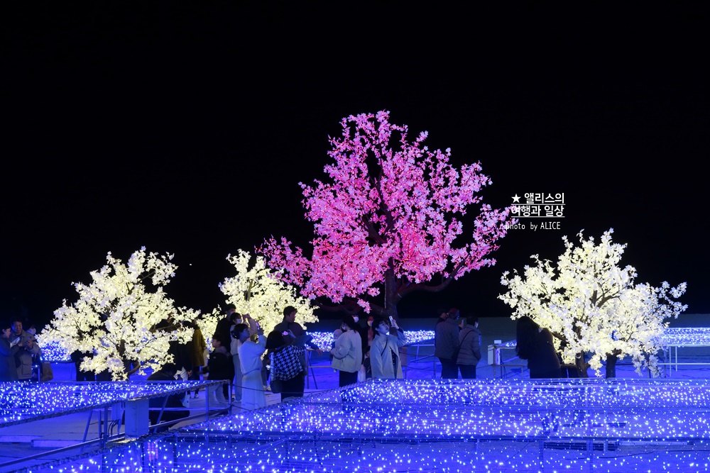 2022 제 9회 해운대 빛축제 빛의 바다 기본정보 위치 시간