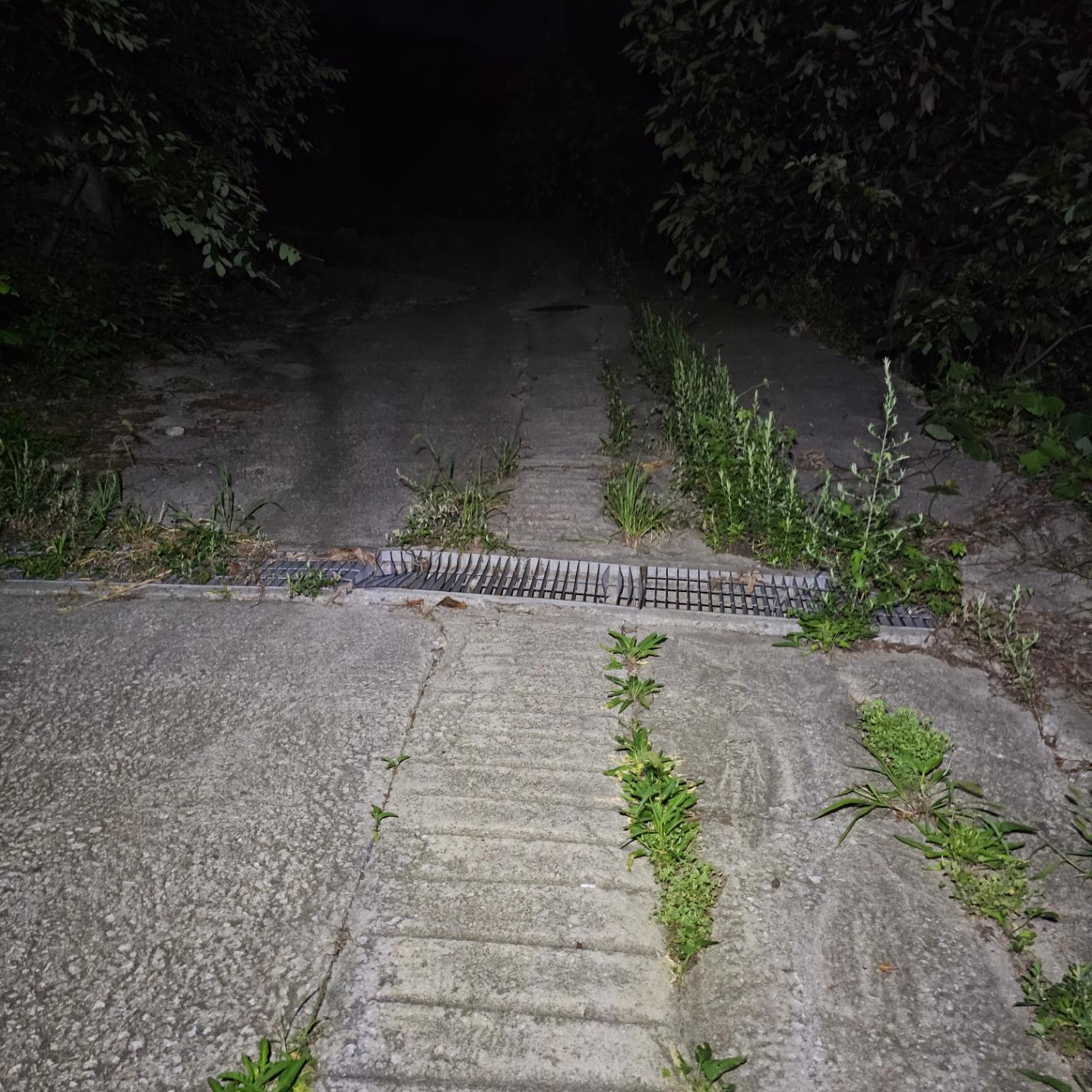 야등&amp;#44; 야간등산