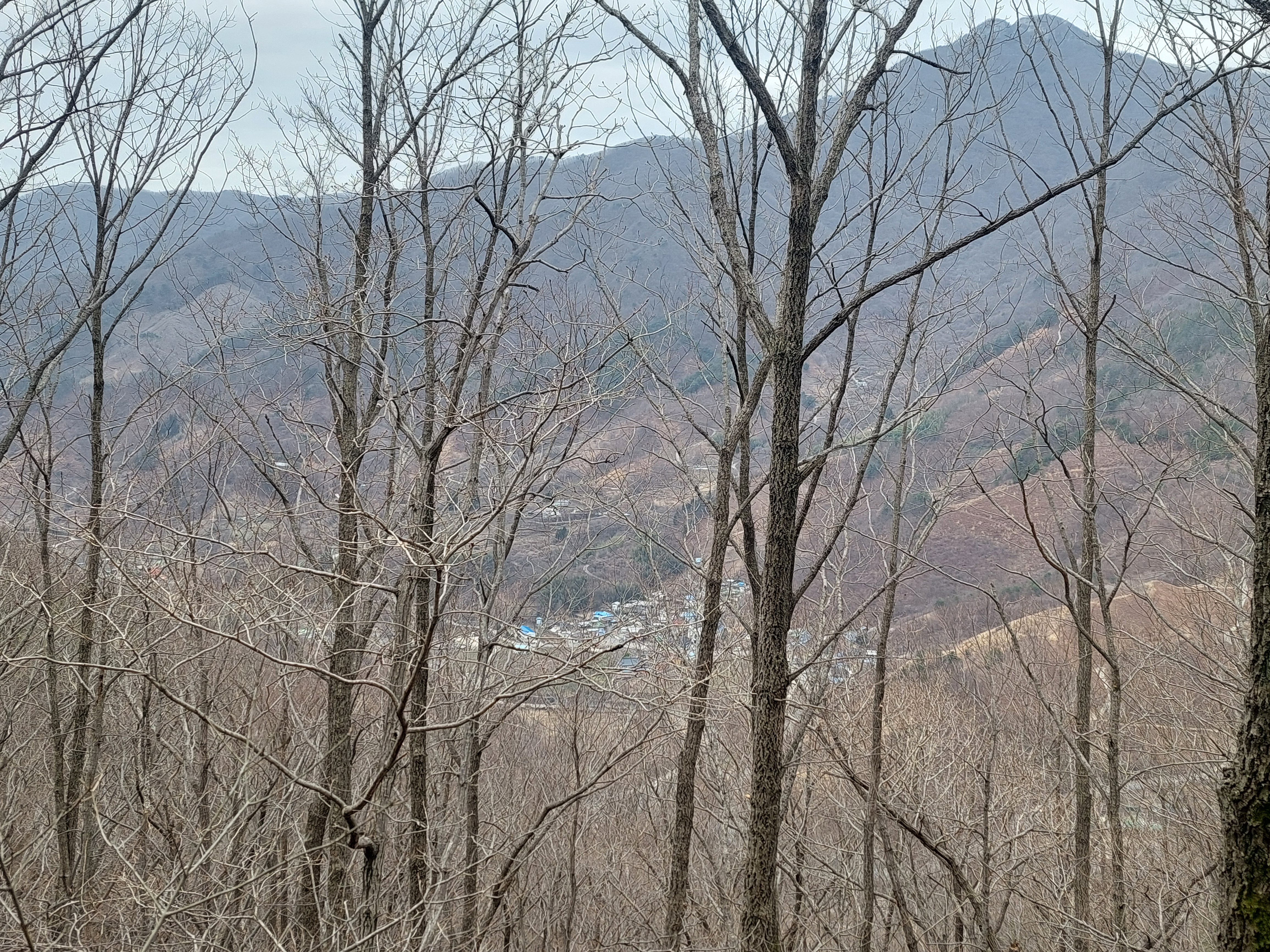 쫓비산
