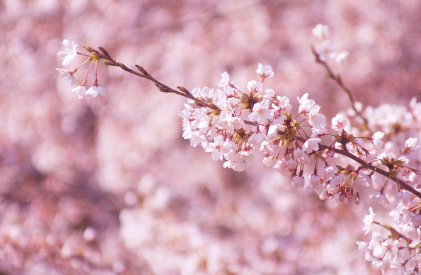 [디지털 리셋 루틴 시리즈 ①] 스마트폰 없는 저녁을 위한 4단계 루틴 &ndash; 퇴근 후 진짜 휴식을 경험하는 법