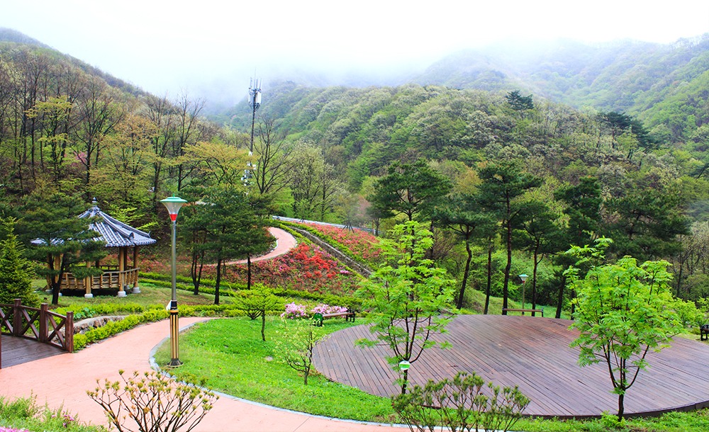 전북 데미샘 자연휴양림