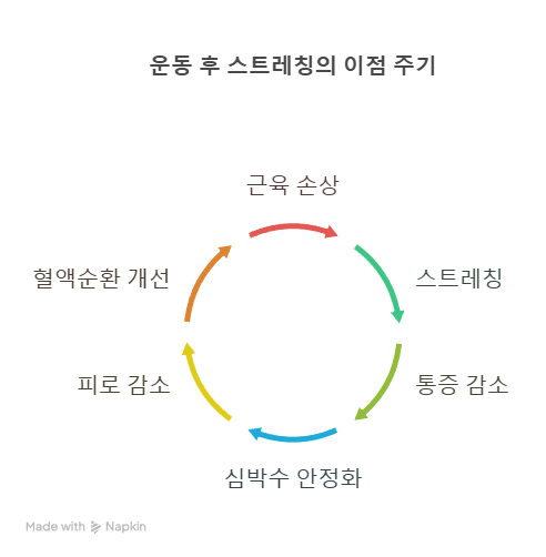 스트레칭 이점