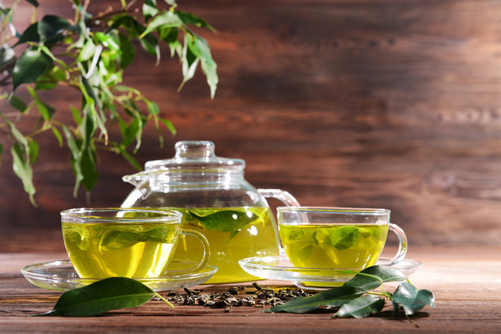 녹차 효능 10가지 총정리 