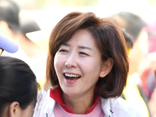 나경원 비대위원장 후보 하마평 이유 &amp;#124; 국민의힘 나경원 나이 고향 학력 딸 자녀 프로필